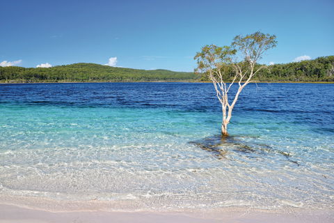 Fraser Island Fishing Units - Accommodation Mermaid Beach 0