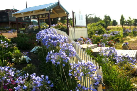 Gooromon Park Cottages - Accommodation Mermaid Beach 1