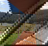 Highland Cattle Farm Stay - Accommodation Mermaid Beach