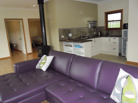 Highland Cattle Farm Stay - Accommodation Mermaid Beach 1