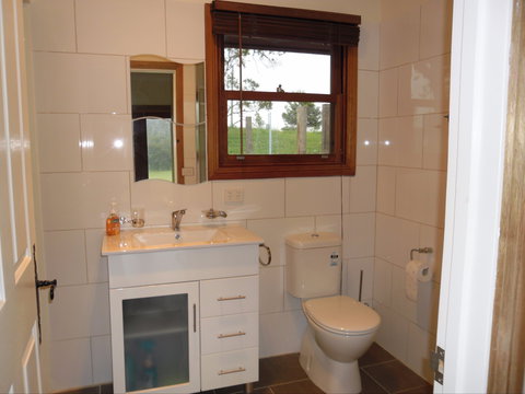 Highland Cattle Farm Stay - Accommodation Mermaid Beach 2