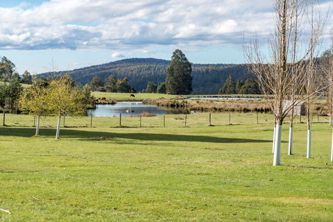 Highland Caravan Park - Accommodation Mermaid Beach 1