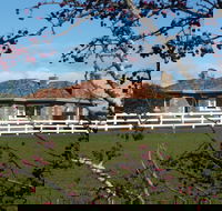 Little Sunnyside Accommodation - Accommodation Mermaid Beach