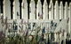 Mayfield Vineyard Cottages - thumb 0