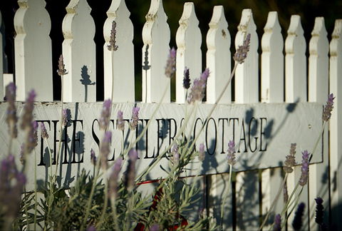 Mayfield Vineyard Cottages - Accommodation Mermaid Beach 0