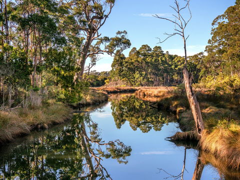 Saintys Creek Cottage - Accommodation Mermaid Beach 1