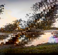 Swagsman Motor Inn - Accommodation Mermaid Beach