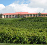 Turners Vineyard Motel - Accommodation Mermaid Beach