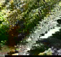 Aldgate Lodge Bed  Breakfast - Accommodation Mermaid Beach