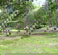 Broadwater camping area Abergowrie State Forest - Accommodation Mermaid Beach
