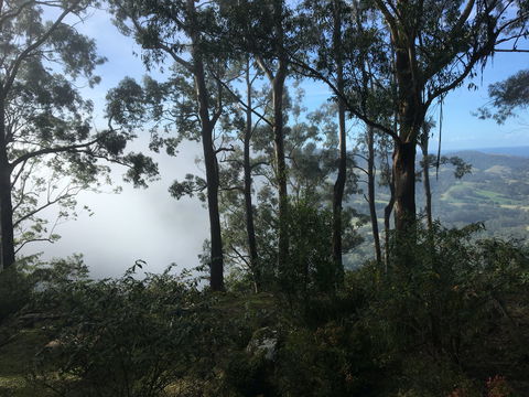 Escarpment - Accommodation Mermaid Beach 2