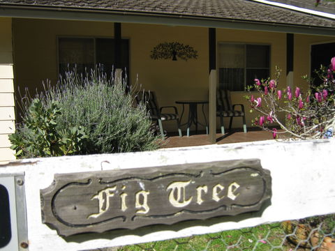 Figtree Cottage - Accommodation Mermaid Beach 0