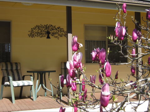Figtree Cottage - Accommodation Mermaid Beach 1