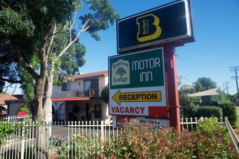 Forest Lodge Motor Inn And Restaurant - Accommodation Mermaid Beach 0