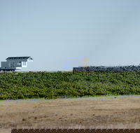 Hounds Run Vineyard - Accommodation Mermaid Beach