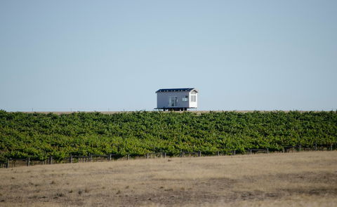 Hounds Run Vineyard - Accommodation Mermaid Beach 0