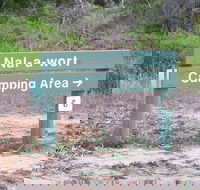 Nal-a-wort Campground - Canunda National Park - Accommodation Mermaid Beach