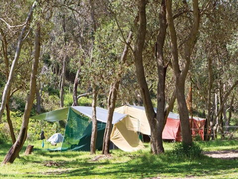 Pebbly Beach Campground - Yuraygir National Park - Accommodation Mermaid Beach 1