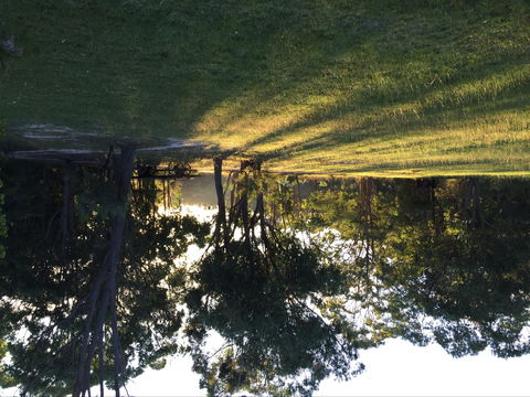 Possum's Hollow And Hooter's Hut - Accommodation Mermaid Beach 0