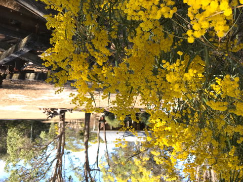 Possum's Hollow And Hooter's Hut - Accommodation Mermaid Beach 1
