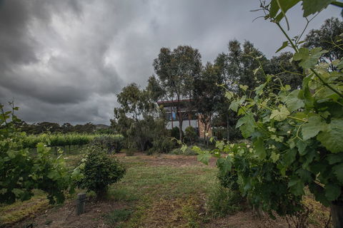 Sellicks Chills - Vineyard Retreats - Accommodation Mermaid Beach 2
