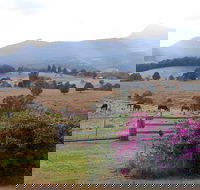 The Barn  House Farm Stay at Possum Manor - Accommodation Mermaid Beach