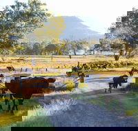 Tommerups Dairy Farmstay - Accommodation Mermaid Beach
