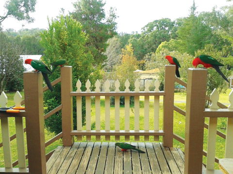 Warrumbungles Mountain Motel - Accommodation Mermaid Beach 0
