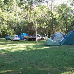 Broadwater Stopover Tourist Park - Accommodation Mermaid Beach 4