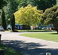 Mitchell Gardens Holiday Park - Accommodation Mermaid Beach