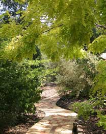 Eagle Hammer Cottages - Accommodation Mermaid Beach 0