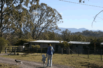 Bumblebrook Farm Motel - Accommodation Mermaid Beach