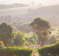 Mackas Farm - Accommodation Mermaid Beach