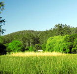 Waterholes Guest House - Accommodation Mermaid Beach