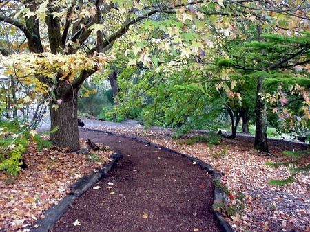 Brigadoon Cottages - Accommodation Mermaid Beach 3