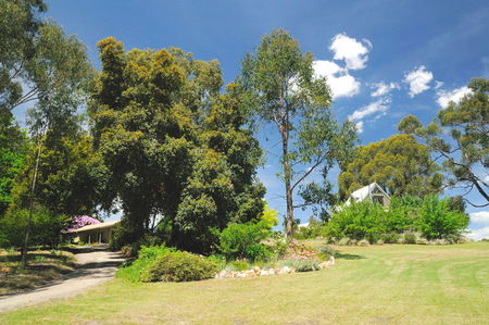 Brigadoon Cottages - Accommodation Mermaid Beach 5