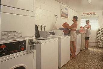 River Retreat Caravan Park - Accommodation Mermaid Beach 2