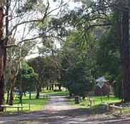 Moe Gardens Caravan Park - Accommodation Mermaid Beach
