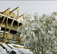 Silverski - Accommodation Mermaid Beach