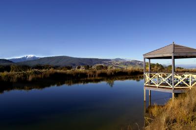 Wombat Hills Cottages - Accommodation Mermaid Beach 2