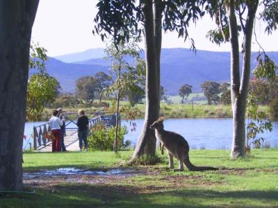 Wombat Hills Cottages - Accommodation Mermaid Beach 4
