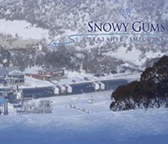 Snowy Gums Chalet - Accommodation Mermaid Beach