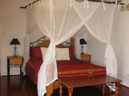 Attunga Park Country Retreat - Accommodation Mermaid Beach 4