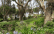 Anchlia Waterfront Cottage - thumb 2
