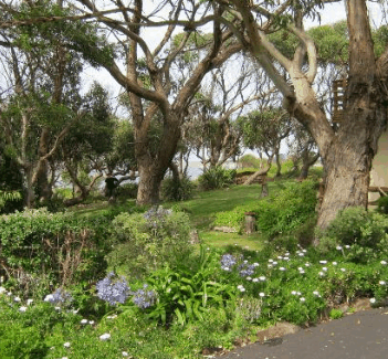 Anchlia Waterfront Cottage - Accommodation Mermaid Beach 2