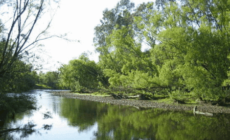 Ribbonwood Cottages - Accommodation Mermaid Beach