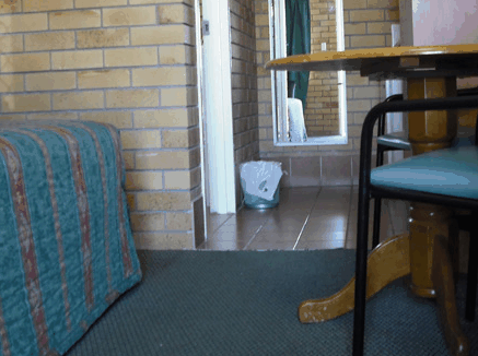 Dragon  Phoenix Motel - Accommodation Mermaid Beach