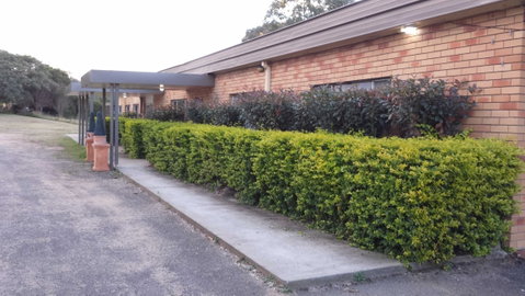 AA Hilldrop Motor Inn - Accommodation Mermaid Beach 4