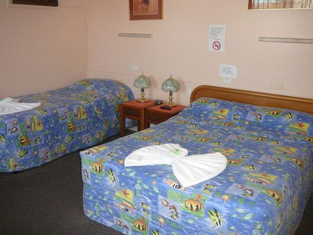 Civic Motel Grafton - Accommodation Mermaid Beach 2