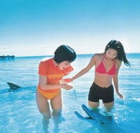 Kookaburra Air - Accommodation Mermaid Beach